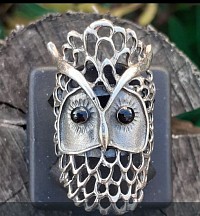 Le regard du hibou allié à la profondeur de l'onyx noir