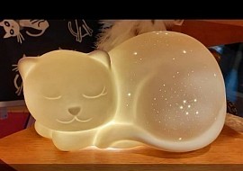 Chat Étoilé
