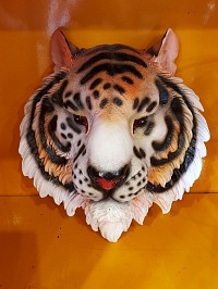 Ce trophée tigre ultra réaliste. Son regard perçant et ses détails soignés en font une pièce décorative captivante. Hauteur 37 cm × Largeur 30 cm