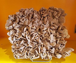 Rose des Sables – Formation Cristalline Naturelle   Spécimen authentique de gypse cristallisé, formé par évaporation dans des milieux désertiques riches en sulfates.  H 30 cm × L 32 cm  Prix : 200,00 €