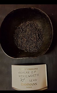 Feuilles entières O.P   Jardin Kenilworth   Vivacité