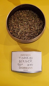 Verveine, tilleul, fleurs d'oranger, menthe poivrée et citronnelle