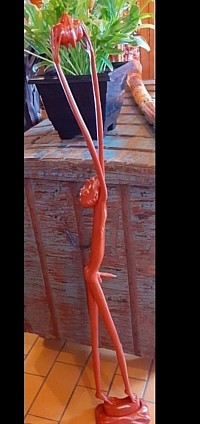 Silhouette élancée et éclat rouge profond