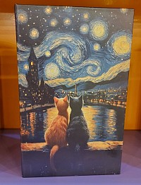 Boîte Livre en Bois . Sobre et secrète, elle cache vos trésors dans un écrin naturel de 26 × 16,5 cm.