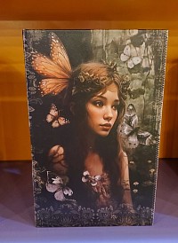 Format 26 × 16,5 cm. Un écrin enchanté, entre papillons et mystère, pour garder vos secrets bien au chaud.