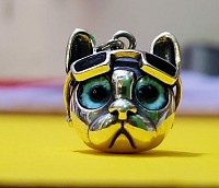 Un chat coiffé de lunettes d’aviateur au regard malicieux