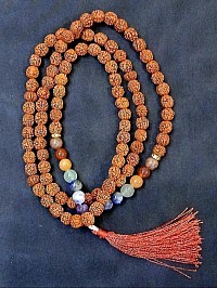 Graines sacrées pour apaiser l’esprit et ouvrir le cœur