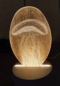 Veilleuse méduse   Effet 3D lumineux   Ambiance apaisante