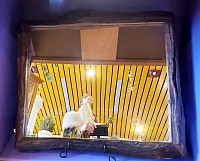 miroir bois flotté décoration naturelle