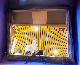miroir teck naturel 71,5x62