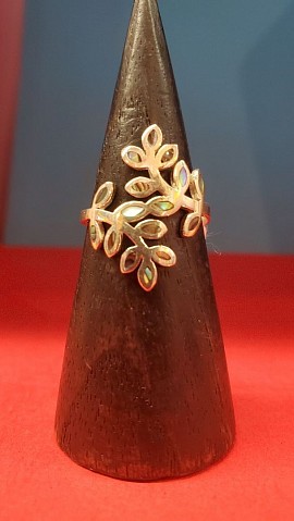 Reflets Océaniques